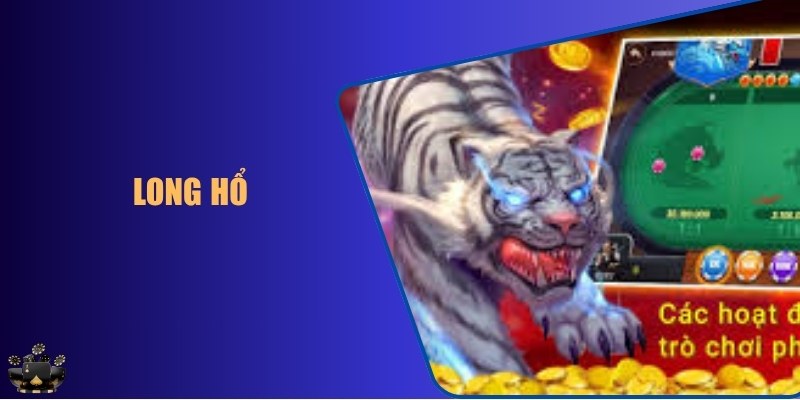 Long Hổ